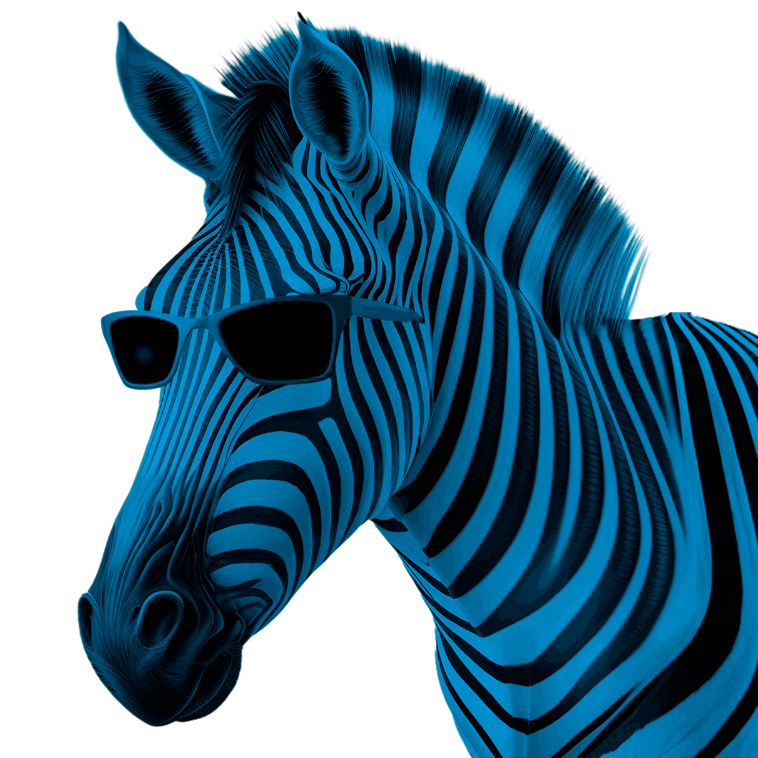 https://www.next.net.pe/images/home/recursos/cebra.gif
