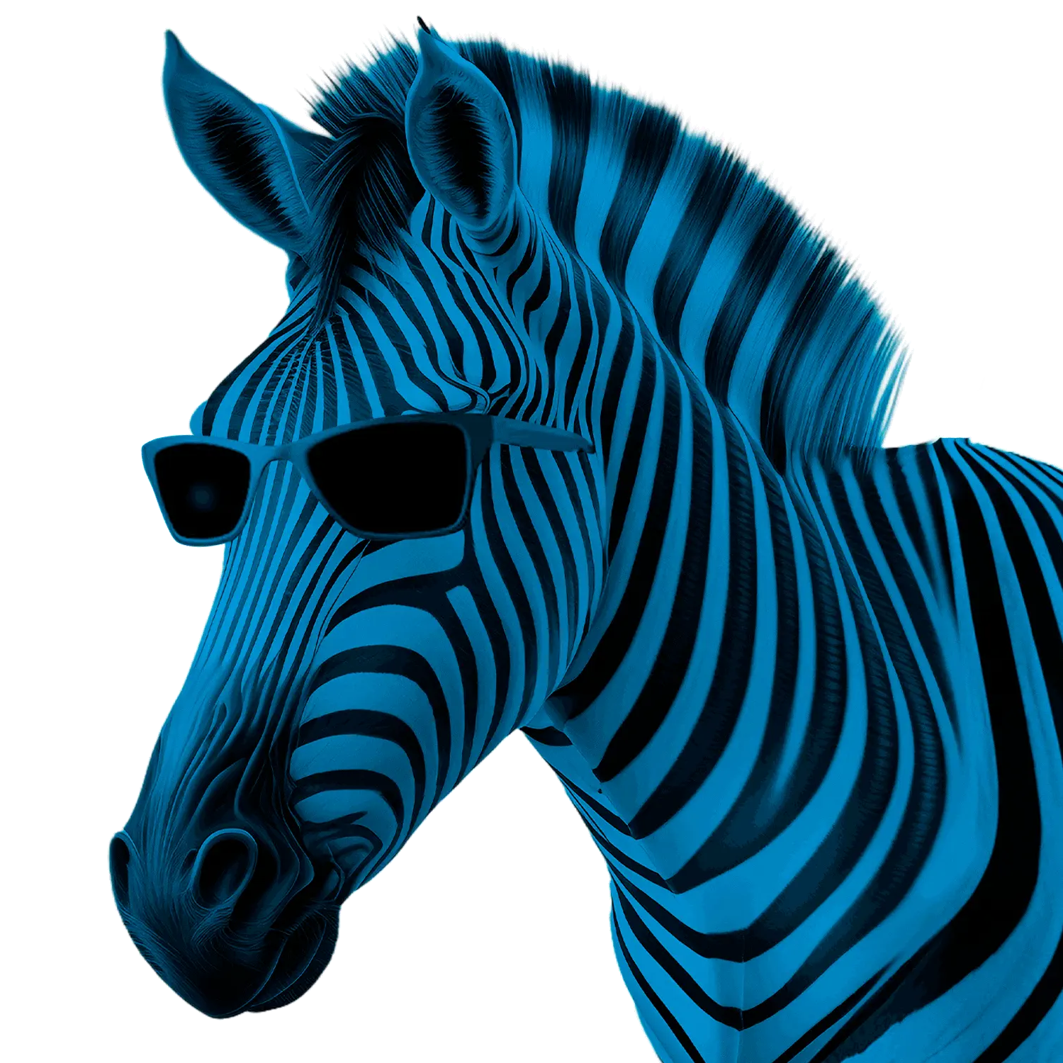 https://www.next.net.pe/images/home/recursos/cebra.webp